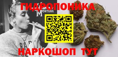стафф Канаш