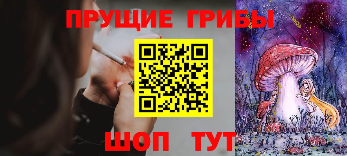 Псилоцибиновые грибы мицелий Ленинск-Кузнецкий