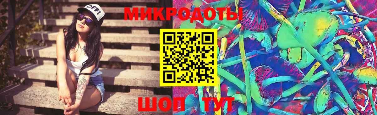 Псилоцибиновые грибы Cubensis  Вход с VPN  Ленинск-Кузнецкий 